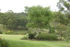 Henty VICresidential-landscaping-40.jpg; ?>