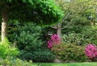 Henty VICresidential-landscaping-74.jpg; ?>